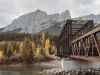 Engine Bridge Fall Colours Canmore