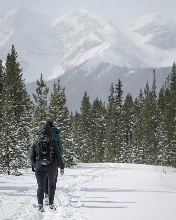 Snowshoeing  on a trail Near Canmore