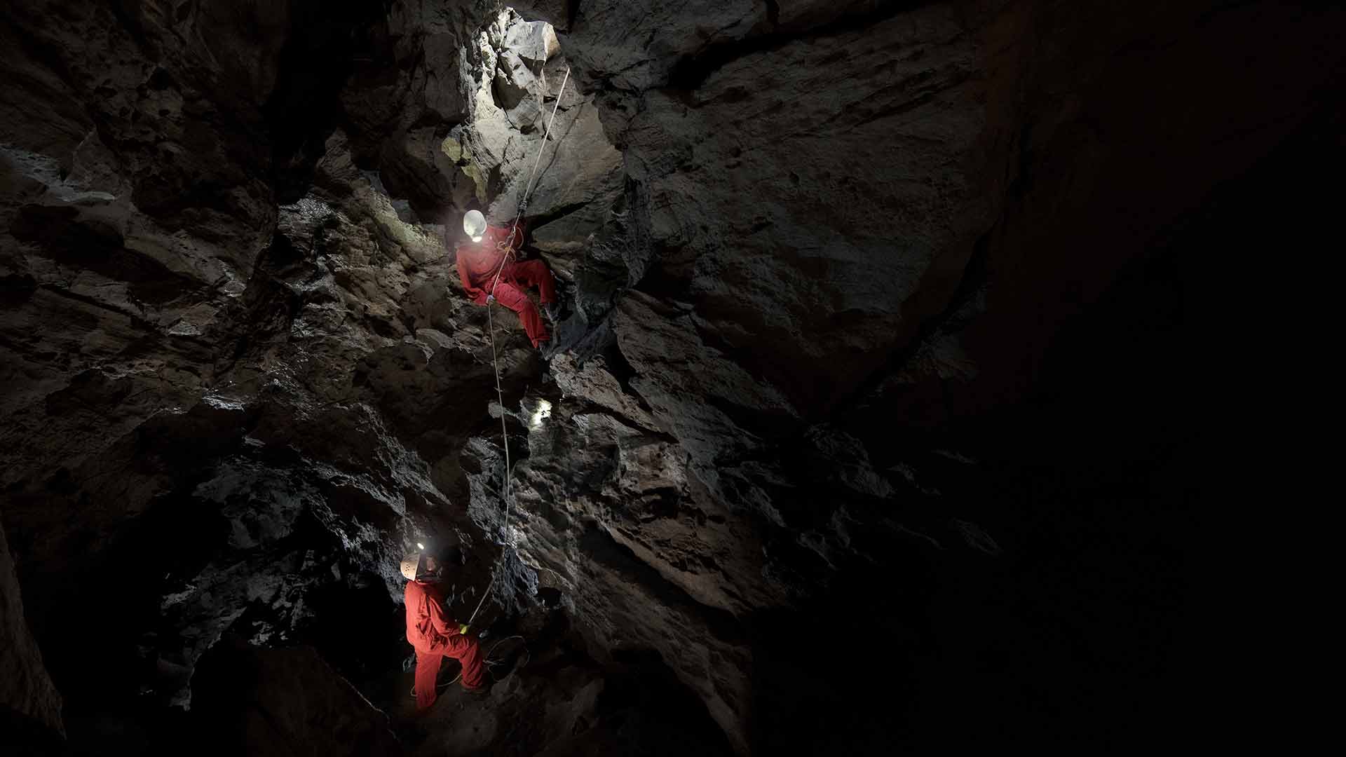 Cavers rappelling in Rat's Nest Cave on the Adventure Tour